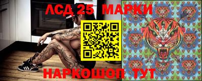 ешки Гай