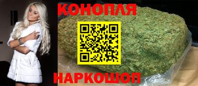 мдпв Гатчина