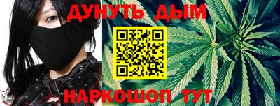 мдпв Гатчина