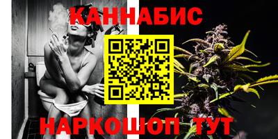 ешки Гай