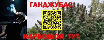 мдпв Гатчина