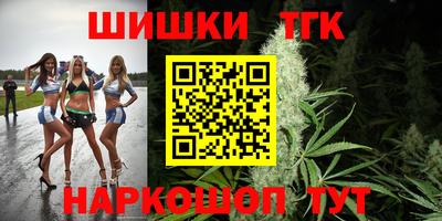 мдпв Гатчина