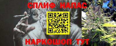 ешки Гай