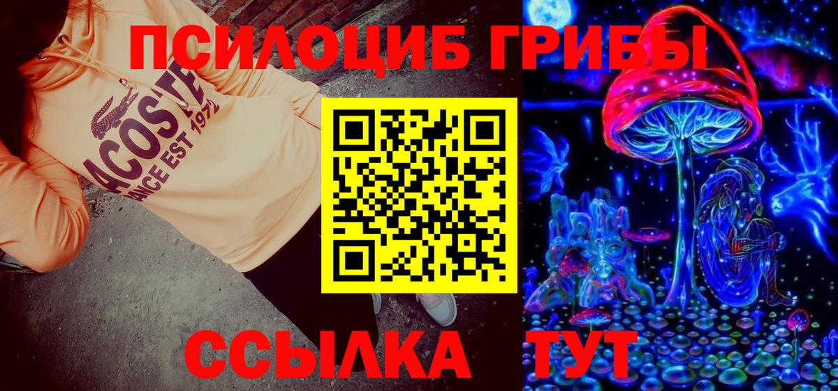 Псилоцибиновые грибы Psilocybe Новозыбков