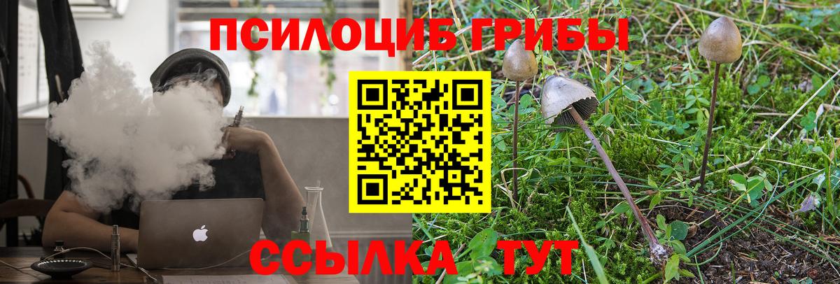 Галлюциногенные грибы мухоморы  Галлюциногенные грибы прущие грибы  Новозыбков  Вход с VPN 