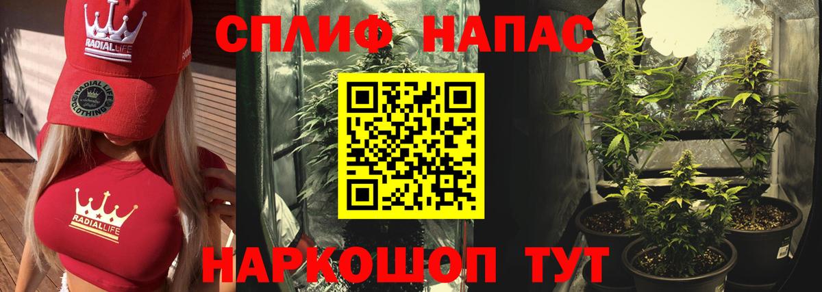 Бошки марихуана индика  Марихуана ГИДРОПОН  Вход с VPN  Шишки марихуана SATIVA & INDICA  Марихуана индика  Новозыбков 
